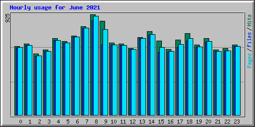 Hourly usage for June 2021